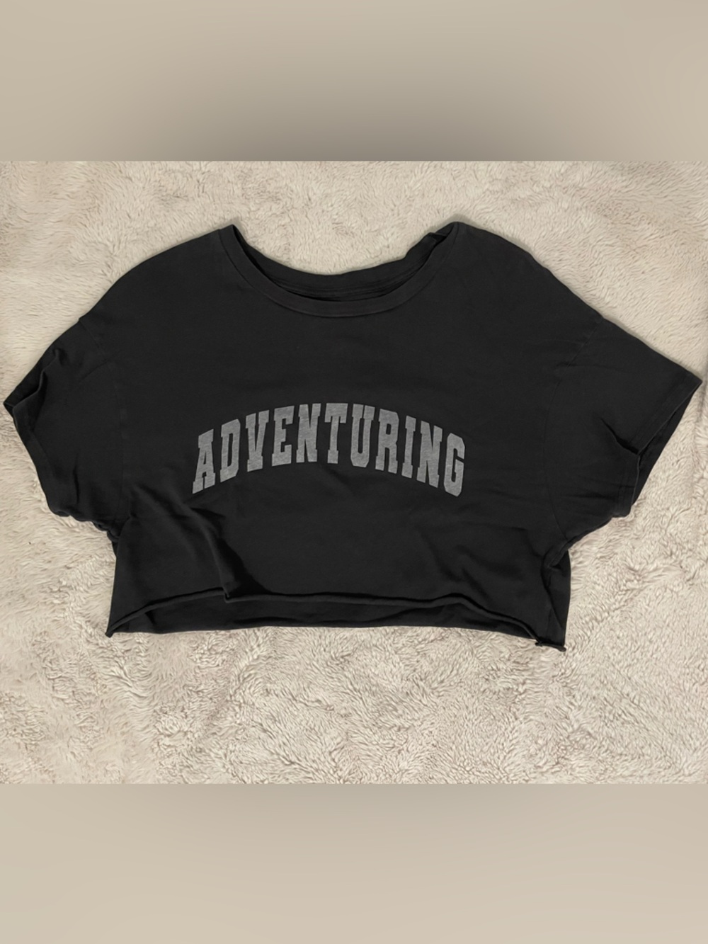 Aerie Offline Adventuring Crop Tee